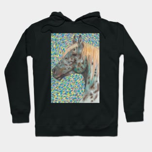 Beautiful appaloosa horse with lots of colors Hoodie